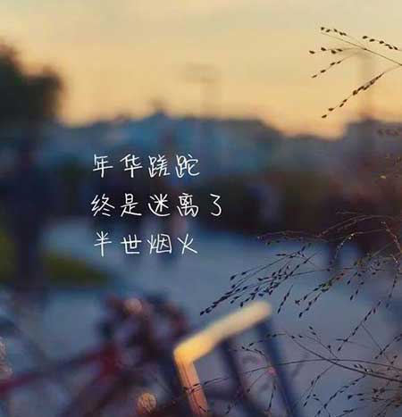 五味雜陳下一句