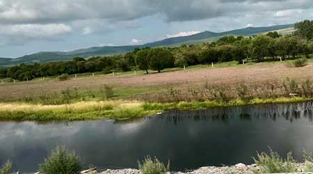 人在景中走下一句