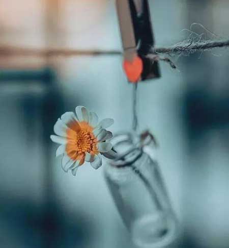 樂觀里藏著自卑下一句