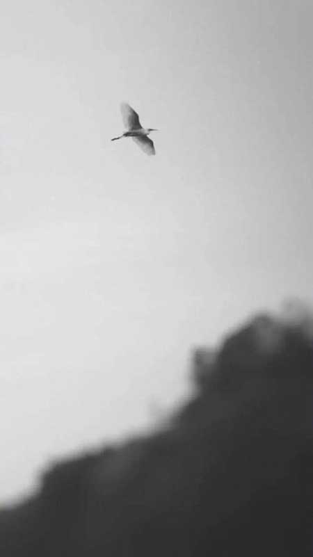 山水不相逢下一句