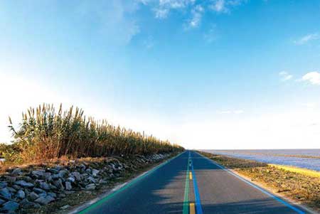 一路春風一路歌下一句