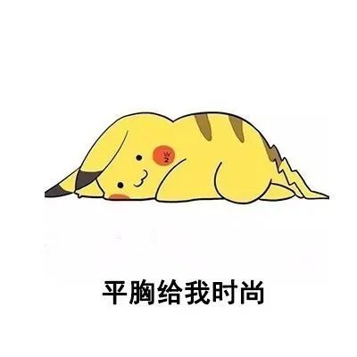 我平胸我驕傲我為國家省布料下一句