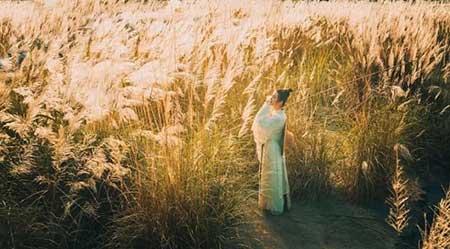 忙里偷得半日閑下一句