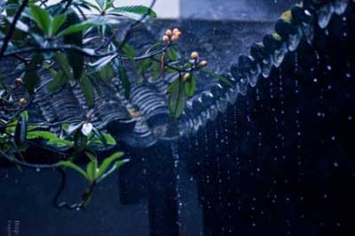 安之若素下一句是什么