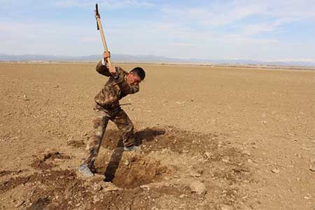 鋤頭揮得好下一句