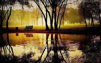 牢騷太盛防斷腸的下一句是什么