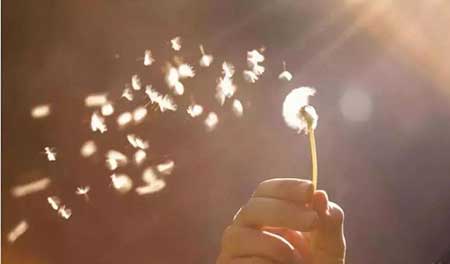 三十而立下一句