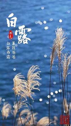 露從今夜白的下一句是