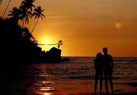 風景獨好下一句是什么