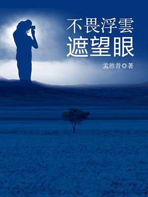 不畏浮云遮望眼的下一句是什么