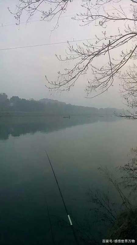 移舟泊煙渚下一句