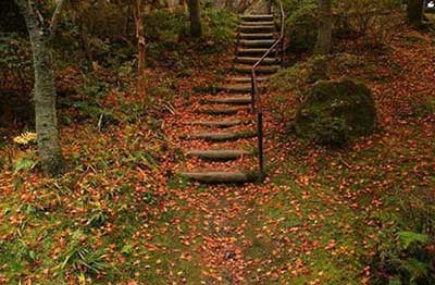 蕭蕭梧葉送寒聲的下一句是什么