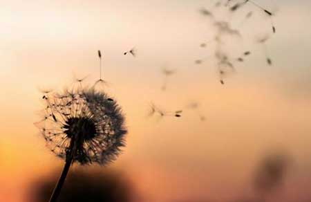 無欲無求的下一句